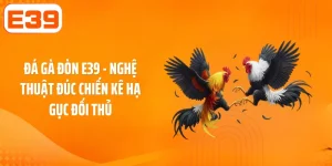 Đá Gà Đòn E39 - Nghệ Thuật Đúc Chiến Kê Hạ Gục Đối Thủ